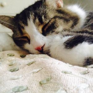 Meet your Posher, Arielle